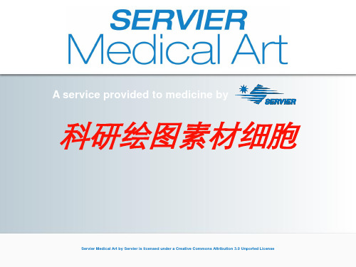 科研绘图素材细胞培训课件