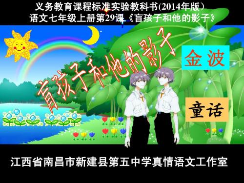 最新人教版语文九年级上册第29课《 盲孩子和他的影子》PPT课件
