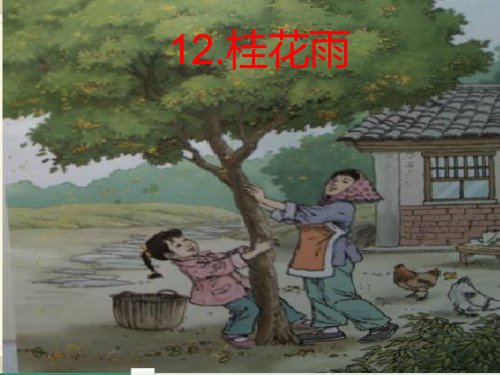 苏教版四上语文12《桂花雨》确定精品PPT课件