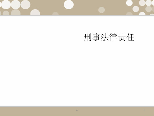 《环境刑事法律责任》PPT课件