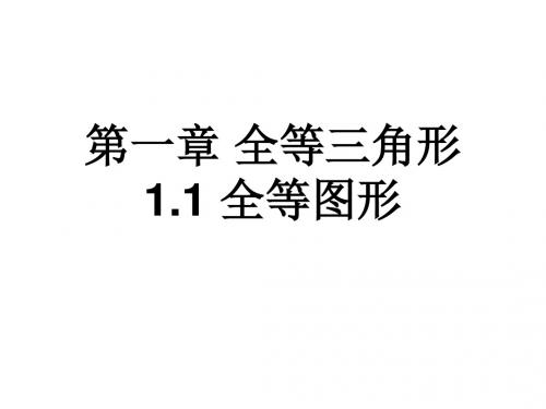 苏科版八年级数学上册课件：1.1全等图形