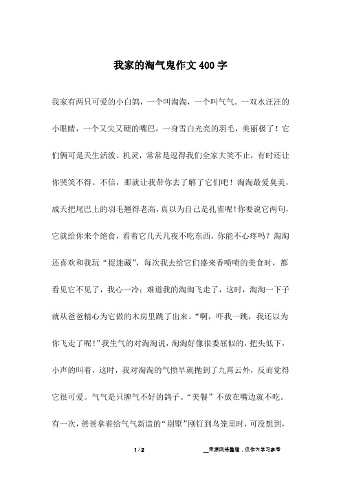 我家的淘气鬼作文400字