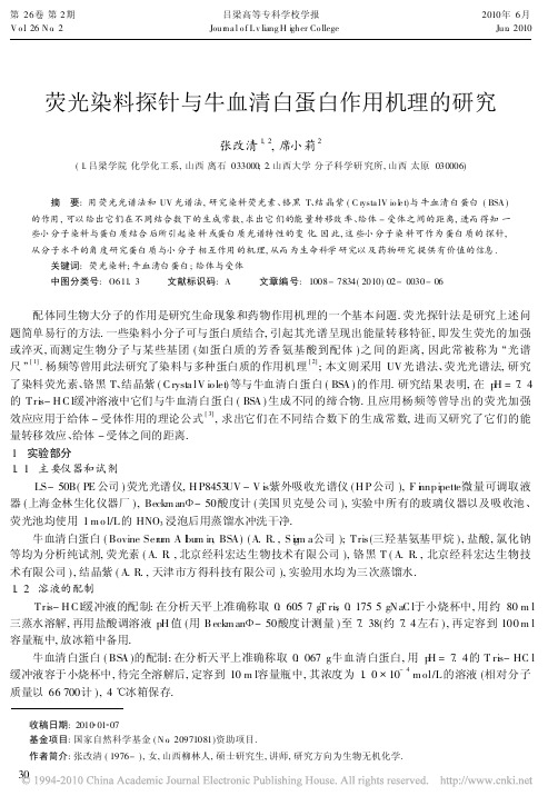 荧光染料探针与牛血清白蛋白作用机理的研究