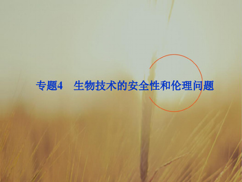 最新-江苏专用2018高考生物总复习 专题4生物技术的安全性和伦理问题课件 新选修3 精品 