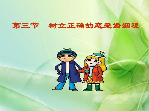 树立正确的恋爱婚姻观(最新版)
