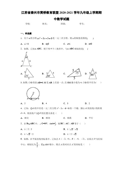江苏省泰兴市黄桥教育联盟2020-2021学年九年级上学期期中数学试题