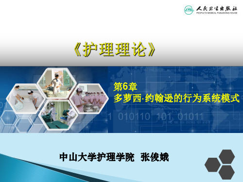 第六章 多萝西·约翰逊的行为系统模式
