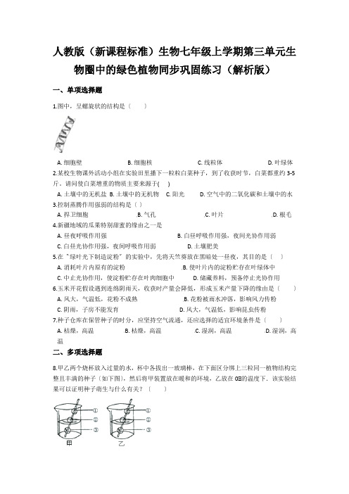 人教版(新课程标准)生物七年级上学期第三单元生物圈中的绿色植物同步巩固练习(解析版)