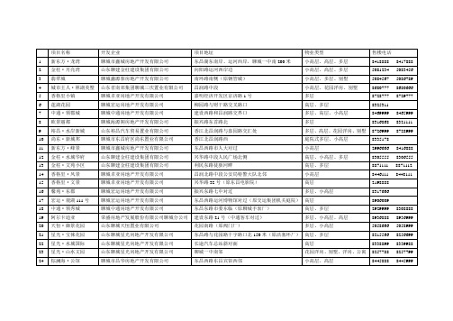 2010年聊城在售楼盘列表价格