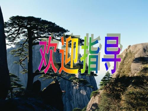 高三语文专题复习课件之仿写与变换句式课件