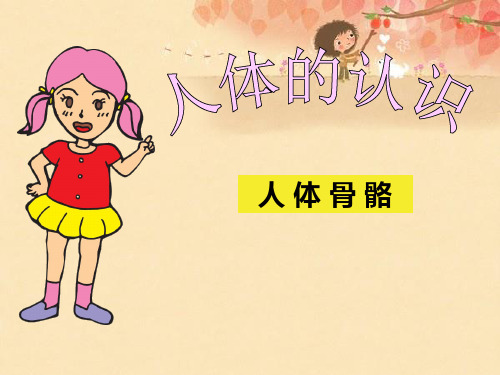 人体的骨骼PPT课件