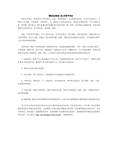 枸杞全身是宝 男人补肾不可必
