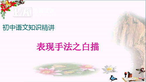 初中语文知识精讲课程：表现手法之白描ppt