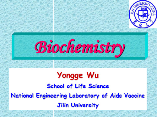 Biochemistry-chapter 1(英文1)