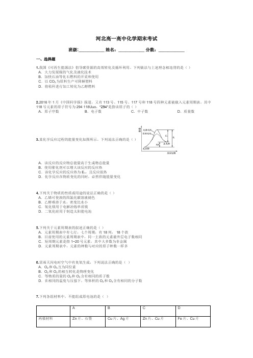 河北高一高中化学期末考试带答案解析
