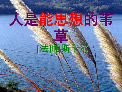 【高中语文】人是能思想的苇草ppt精品课件14