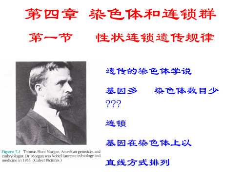 染色体和连锁群