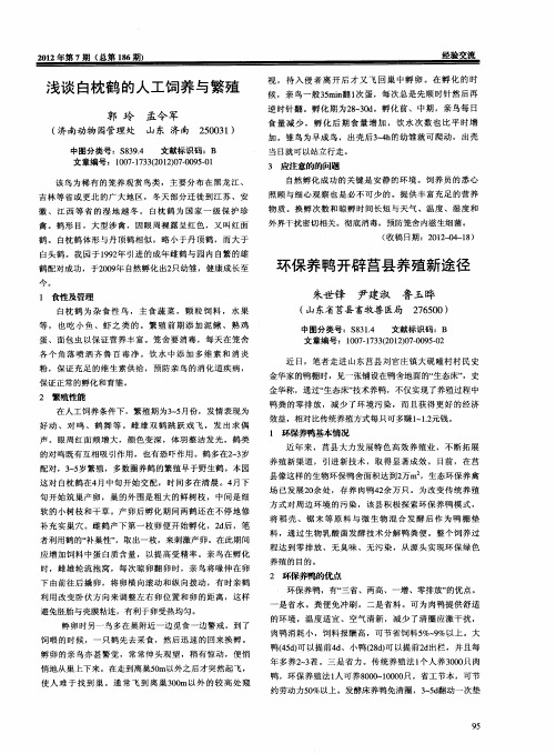 环保养鸭开辟莒县养殖新途径
