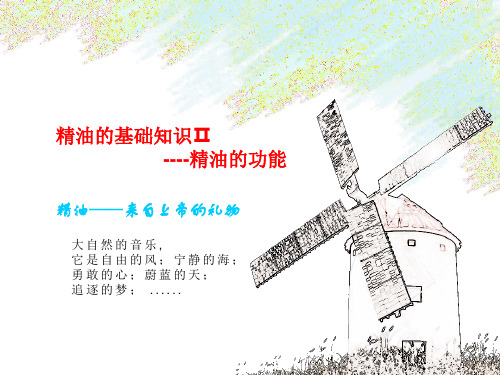 6精油的基础知识精油的功能23页