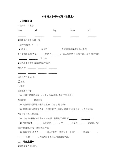 【15套试卷】深圳市小升初模拟考试语文试题含答案