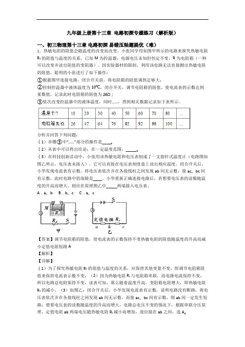 九年级上册第十三章 电路初探专题练习(解析版)