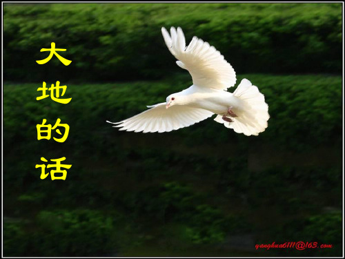 最新北师大版小学六年级语文下册_大地的话精品ppt课件