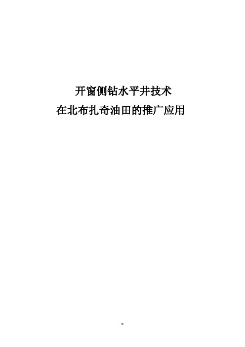 开窗侧钻水平井技术