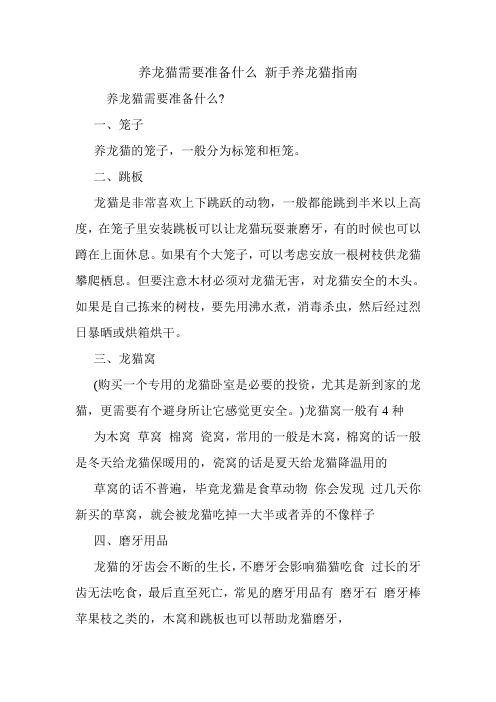 养龙猫需要准备什么 新手养龙猫指南