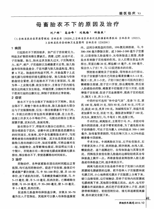 母畜胎衣不下的原因及治疗