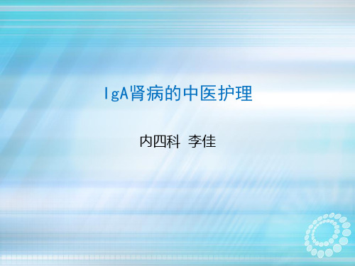 IgA肾病的中医护理ppt课件