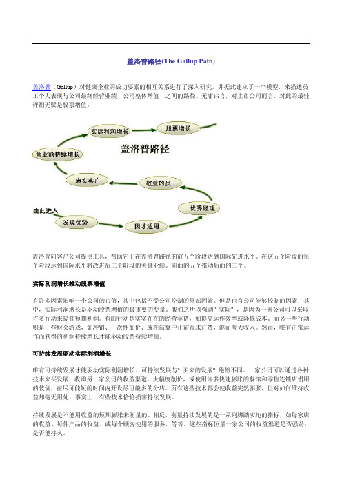 盖洛普路径(The Gallup Path)_