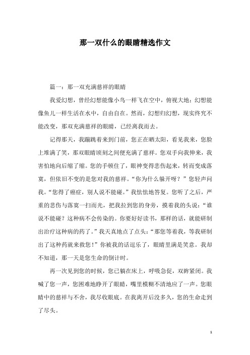 那一双什么的眼睛精选作文