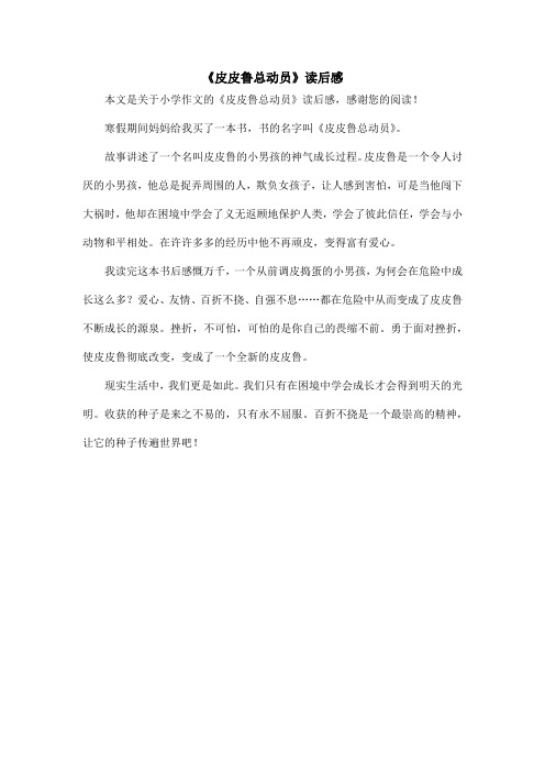 《皮皮鲁总动员》读后感_小学作文