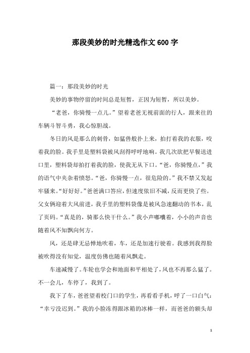 那段美妙的时光精选作文600字