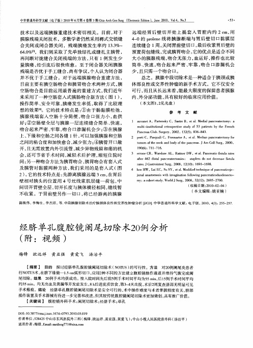 经脐单孔腹腔镜阑尾切除术20例分析(附：视频)