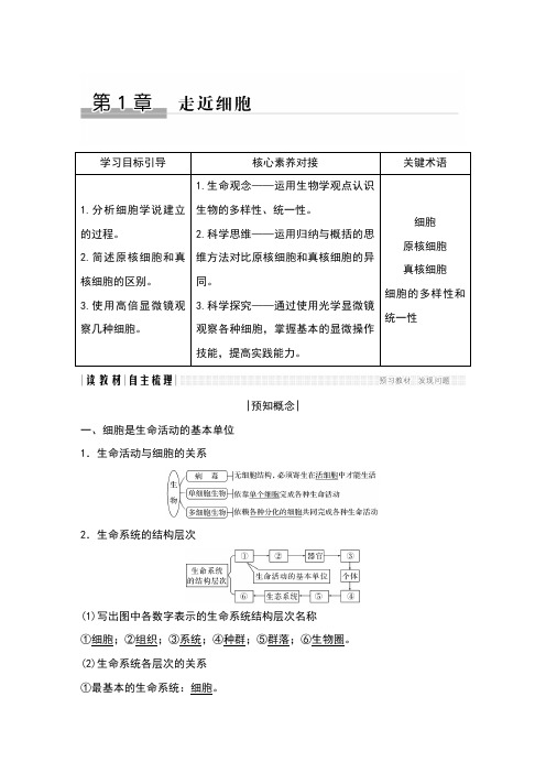 原核细胞和真核细胞