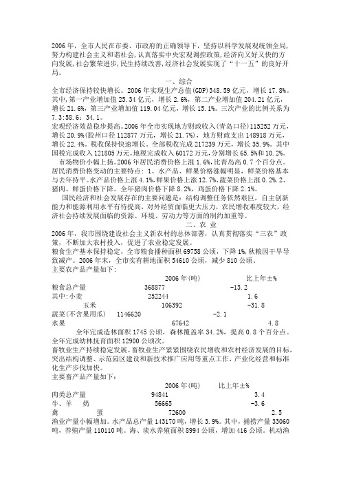 2006年公报