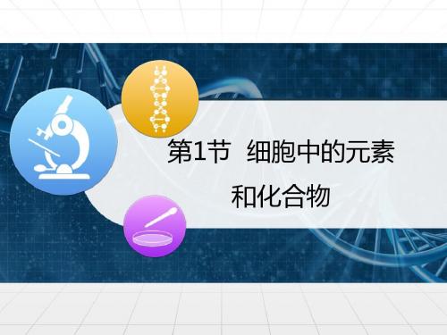 人教版高中生物必修一2.1《细胞中的元素和化合物》课件 (共33张PPT)