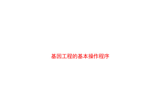 基因工程的基本操作程序   课件