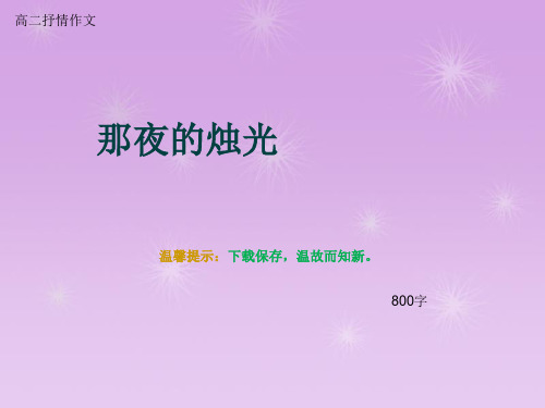 高二抒情作文《那夜的烛光》800字