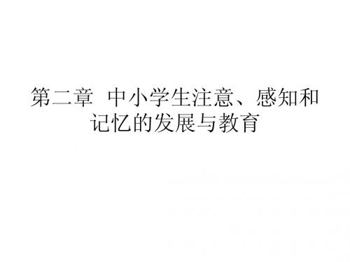 no.2 注意、感知和记忆的发展与教育