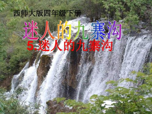 年西师版语文第八册《迷人的九寨沟》ppt优秀课件