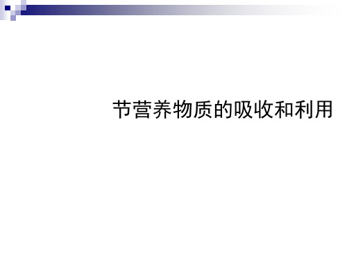营养物质的吸收和利用PPT课件1