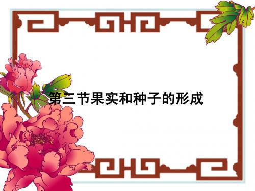4.1.3果实和种子的形成