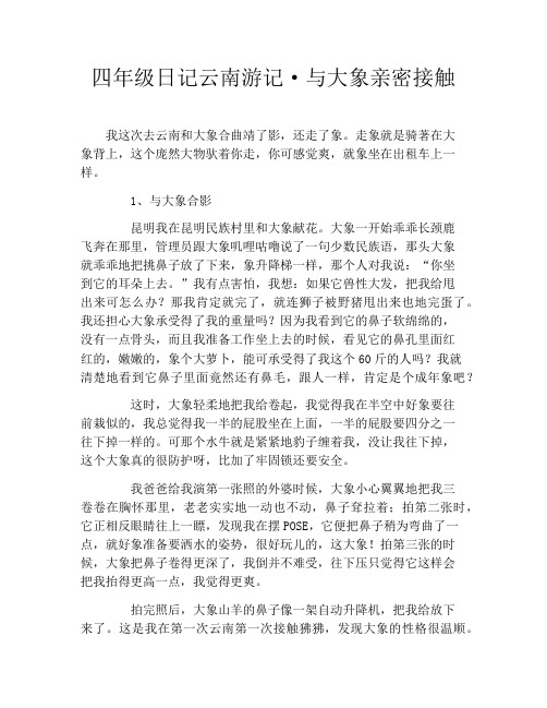 四年级日记云南游记·与大象亲密接触