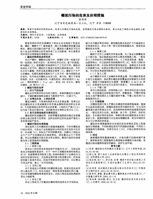 硼泥污染的危害及治理措施