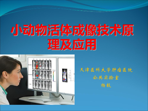 小动物活体成像
