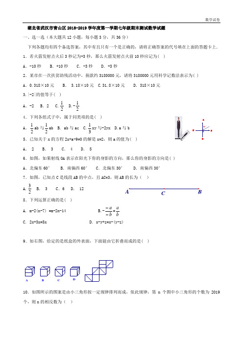 湖北省武汉市青山区2018-2019学年度第一学期七年级期末测试数学试题