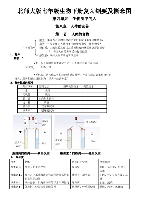 北师七下-北师大版七年级生物下册复习纲要及概念图