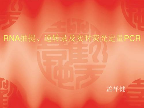 RNA抽提